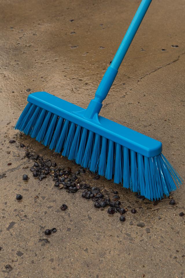 Broom, 530 mm, Very hard, Blue