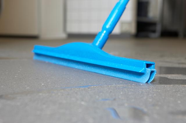 Hygienic Floor Squeegee w/replacement cassette, 505 mm, , Blue